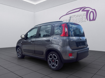 Fiat Panda Gebrauchtwagen Fiat Panda Gebrauchtwagen