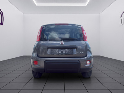 Fiat Panda Gebrauchtwagen Fiat Panda Gebrauchtwagen