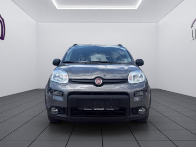 Fiat Panda Gebrauchtwagen Fiat Panda Gebrauchtwagen
