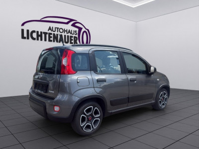 Fiat Panda Gebrauchtwagen Fiat Panda Gebrauchtwagen