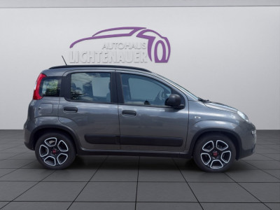 Fiat Panda Gebrauchtwagen Fiat Panda Gebrauchtwagen