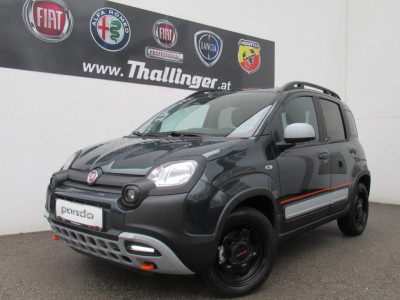 Fiat Panda Vorführwagen