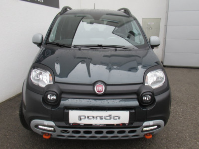 Fiat Panda Vorführwagen