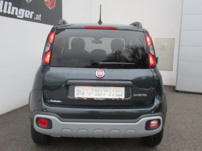 Fiat Panda Vorführwagen