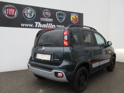 Fiat Panda Vorführwagen