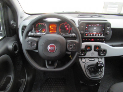 Fiat Panda Vorführwagen