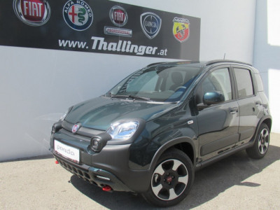 Fiat Panda Vorführwagen