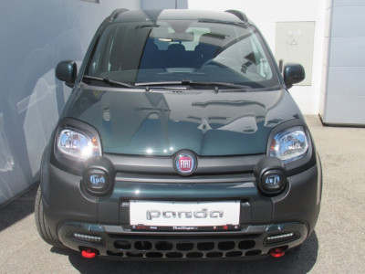 Fiat Panda Vorführwagen