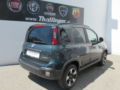 Fiat Panda Vorführwagen