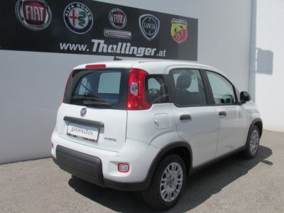 Fiat Panda Vorführwagen