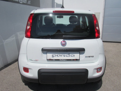 Fiat Panda Vorführwagen