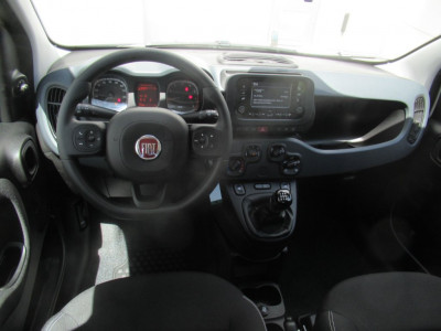 Fiat Panda Vorführwagen