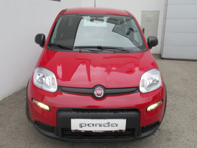 Fiat Panda Vorführwagen