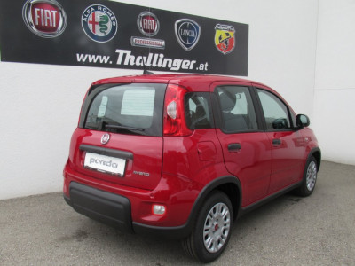 Fiat Panda Vorführwagen