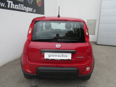 Fiat Panda Vorführwagen