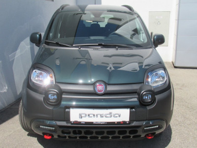 Fiat Panda Neuwagen