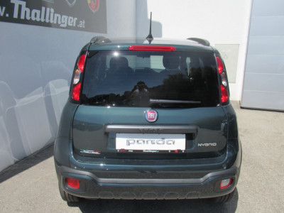 Fiat Panda Neuwagen