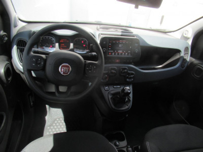 Fiat Panda Neuwagen