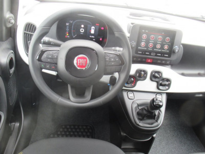 Fiat Panda Neuwagen