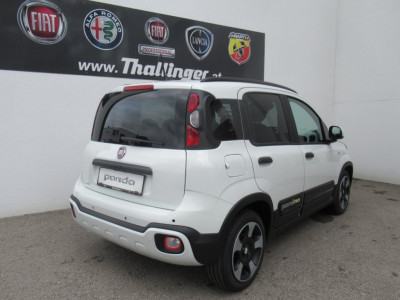 Fiat Panda Neuwagen