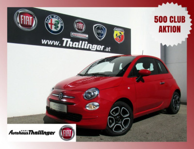 Fiat 500 Gebrauchtwagen