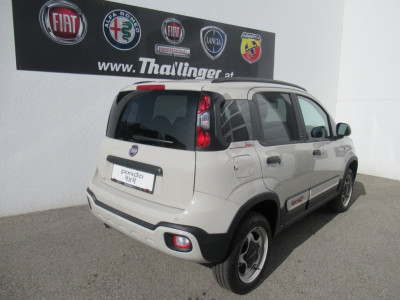 Fiat Panda Gebrauchtwagen