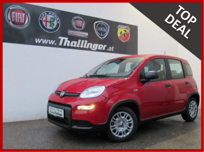 Fiat Panda Neuwagen