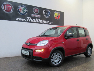 Fiat Panda Neuwagen