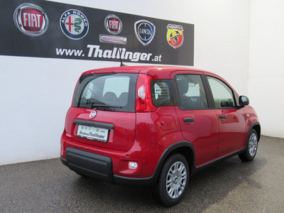 Fiat Panda Neuwagen