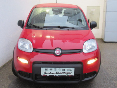 Fiat Panda Neuwagen