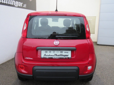 Fiat Panda Neuwagen