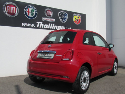 Fiat 500 Gebrauchtwagen