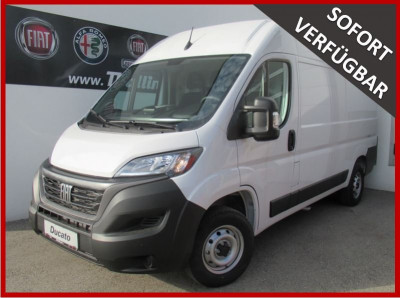 Fiat Ducato Vorführwagen