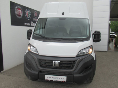 Fiat Ducato Vorführwagen