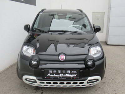 Fiat Panda Vorführwagen