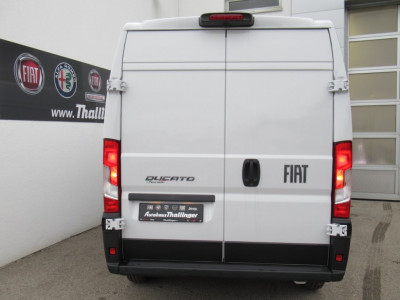 Fiat Ducato Vorführwagen