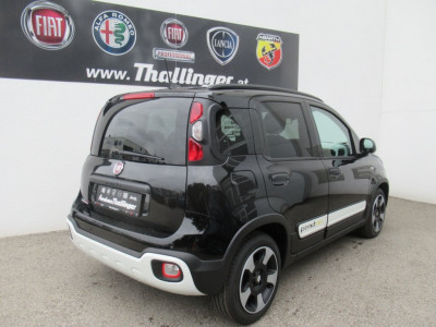 Fiat Panda Neuwagen Fiat Panda Neuwagen