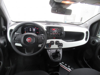 Fiat Panda Neuwagen Fiat Panda Neuwagen