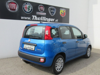 Fiat Panda Neuwagen Fiat Panda Neuwagen