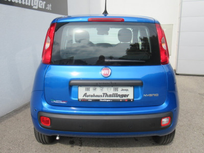 Fiat Panda Neuwagen Fiat Panda Neuwagen
