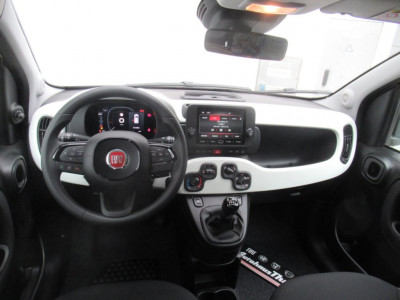 Fiat Panda Neuwagen