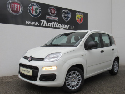 Fiat Panda Gebrauchtwagen