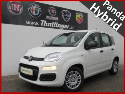 Fiat Panda Gebrauchtwagen Fiat Panda Gebrauchtwagen