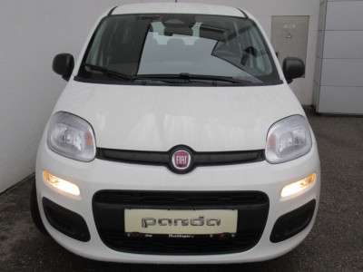 Fiat Panda Gebrauchtwagen