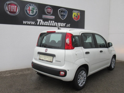 Fiat Panda Gebrauchtwagen
