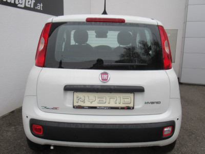 Fiat Panda Gebrauchtwagen