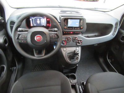 Fiat Panda Gebrauchtwagen