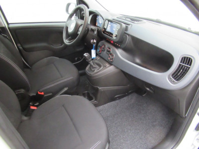 Fiat Panda Gebrauchtwagen