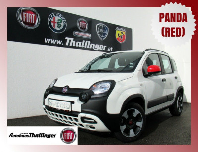 Fiat Panda Gebrauchtwagen Fiat Panda Gebrauchtwagen