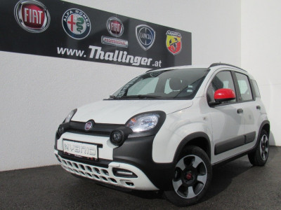 Fiat Panda Gebrauchtwagen Fiat Panda Gebrauchtwagen